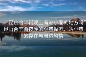 “昆山合豐街晚上有站小巷的地方嗎”昆山合豐街夜晚的小巷探索，站小巷的存在與周邊風(fēng)情
