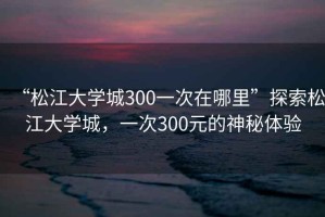 “松江大學(xué)城300一次在哪里”探索松江大學(xué)城，一次300元的神秘體驗(yàn)
