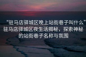 “駐馬店驛城區(qū)晚上站街巷子叫什么”駐馬店驛城區(qū)夜生活揭秘，探索神秘的站街巷子名稱與氛圍