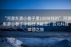 “河源東源小巷子里100塊錢的”河源東源小巷子中的技術(shù)秘密，百元科技體驗(yàn)之旅