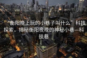 “衡陽晚上玩的小巷子叫什么”科技探索，揭秘衡陽夜晚的神秘小巷—科技巷