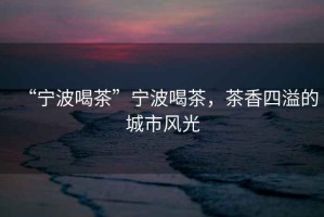 “寧波喝茶”寧波喝茶，茶香四溢的城市風(fēng)光