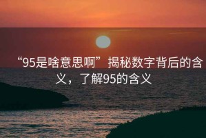 “95是啥意思啊”揭秘?cái)?shù)字背后的含義，了解95的含義