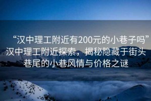 “漢中理工附近有200元的小巷子嗎”漢中理工附近探索，揭秘隱藏于街頭巷尾的小巷風(fēng)情與價(jià)格之謎