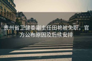 貴州省衛(wèi)健委副主任田艷被免職，官方公布原因及后續(xù)安排