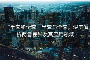 “半套和全套”半套與全套，深度解析兩者差異及其應(yīng)用領(lǐng)域