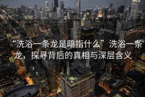 “洗浴一條龍是暗指什么”洗浴一條龍，探尋背后的真相與深層含義