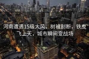 河南遭遇15級大風(fēng)，樹被刮斷，鐵皮飛上天，城市瞬間變戰(zhàn)場