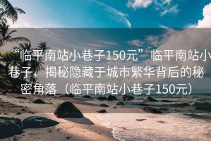 “臨平南站小巷子150元”臨平南站小巷子，揭秘隱藏于城市繁華背后的秘密角落（臨平南站小巷子150元）
