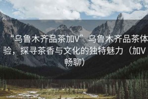 “烏魯木齊品茶加V”烏魯木齊品茶體驗，探尋茶香與文化的獨特魅力（加V暢聊）