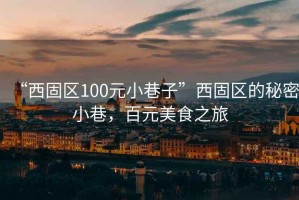 “西固區(qū)100元小巷子”西固區(qū)的秘密小巷，百元美食之旅