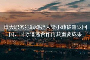 重大職務(wù)犯罪嫌疑人梁小菲被遣返回國(guó)，國(guó)際追逃合作再獲重要成果
