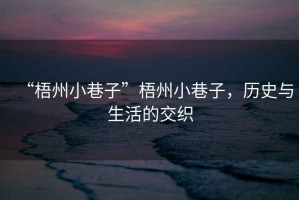 “梧州小巷子”梧州小巷子，歷史與生活的交織