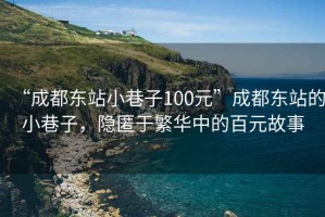 “成都東站小巷子100元”成都東站的小巷子，隱匿于繁華中的百元故事