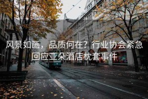 風(fēng)景如畫，品質(zhì)何在？行業(yè)協(xié)會(huì)緊急回應(yīng)亞朵酒店枕套事件