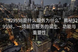“929598是什么服務(wù)為什么”揭秘929598，一項(xiàng)前沿服務(wù)的誕生、功能與重要性