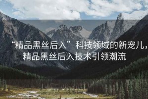 “精品黑絲后入”科技領(lǐng)域的新寵兒，精品黑絲后入技術(shù)引領(lǐng)潮流