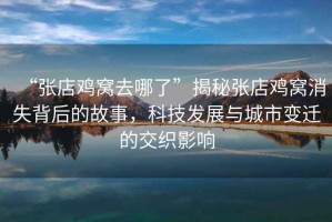 “張店雞窩去哪了”揭秘張店雞窩消失背后的故事，科技發(fā)展與城市變遷的交織影響