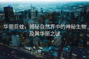 華麗巨蚊，揭秘自然界中的神秘生物及其華麗之謎