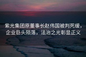 紫光集團原董事長趙偉國被判死緩，企業(yè)巨頭隕落，法治之光彰顯正義