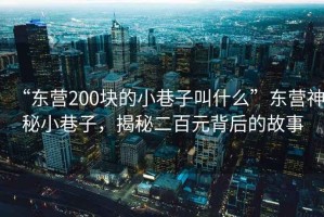 “東營200塊的小巷子叫什么”東營神秘小巷子，揭秘二百元背后的故事