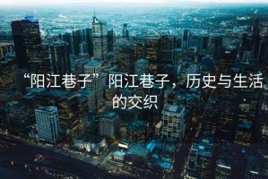 “陽江巷子”陽江巷子，歷史與生活的交織