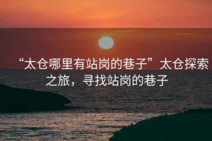 “太倉哪里有站崗的巷子”太倉探索之旅，尋找站崗的巷子