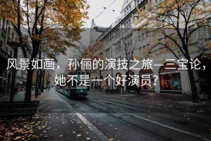 風(fēng)景如畫，孫儷的演技之旅—三寶論，她不是一個(gè)好演員？