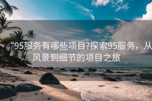“95服務(wù)有哪些項目?探索95服務(wù)，從風景到細節(jié)的項目之旅