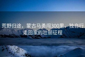 荒野歸途，蒙古馬勇闖300里，獨(dú)自行走回家的壯麗征程