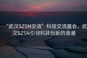 “武漢SZSN交流”科技交流盛會，武漢SZSN引領(lǐng)科技創(chuàng)新的浪潮