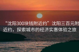 “沈陽300塊錢附近約”沈陽三百元附近約，探索城市的經(jīng)濟(jì)實惠體驗之旅
