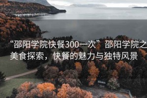 “邵陽學院快餐300一次”邵陽學院之美食探索，快餐的魅力與獨特風景