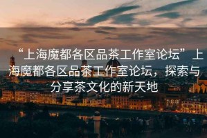 “上海魔都各區(qū)品茶工作室論壇”上海魔都各區(qū)品茶工作室論壇，探索與分享茶文化的新天地