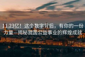 11.23億！這個數(shù)字背后，有你的一份力量—揭秘我國公益事業(yè)的輝煌成就