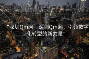 “深圳Qm網(wǎng)”深圳Qm網(wǎng)，引領數(shù)字化轉型的新力量