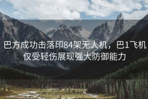 巴方成功擊落印84架無(wú)人機(jī)，巴1飛機(jī)僅受輕傷展現(xiàn)強(qiáng)大防御能力