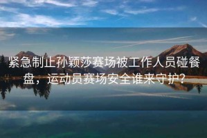 緊急制止孫穎莎賽場被工作人員碰餐盤，運(yùn)動員賽場安全誰來守護(hù)？