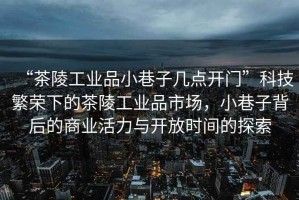“茶陵工業(yè)品小巷子幾點(diǎn)開(kāi)門(mén)”科技繁榮下的茶陵工業(yè)品市場(chǎng)，小巷子背后的商業(yè)活力與開(kāi)放時(shí)間的探索