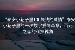 “泰安小巷子里100塊錢的愛情”泰安小巷子里的一次數(shù)字愛情革命，百元之戀的科技視角