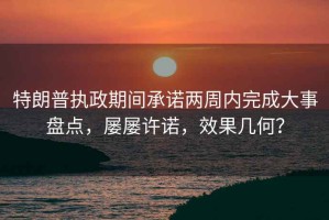 特朗普?qǐng)?zhí)政期間承諾兩周內(nèi)完成大事盤點(diǎn)，屢屢許諾，效果幾何？