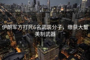 伊朗軍方打死6名武裝分子，繳獲大量美制武器