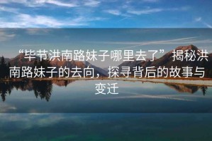 “畢節(jié)洪南路妹子哪里去了”揭秘洪南路妹子的去向，探尋背后的故事與變遷