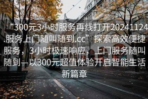 “300元3小時服務(wù)再線打開20241124.服務(wù)上門隨叫隨到.cc”探索高效便捷服務(wù)，3小時極速響應(yīng)，上門服務(wù)隨叫隨到—以300元超值體驗開啟智能生活新篇章