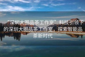 “深圳大圈品茶工作室”科技引領(lǐng)下的深圳大圈品茶工作室，探索智能品茶新時(shí)代