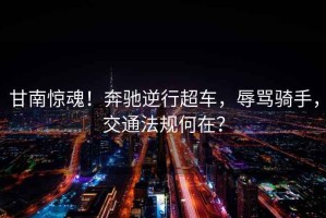 甘南驚魂！奔馳逆行超車，辱罵騎手，交通法規(guī)何在？