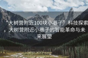 “大樹營附近100塊小巷子”科技探索，大樹營附近小巷子的智能革命與未來展望