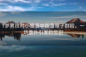 7歲男孩對(duì)小猴豎中指遭猴子群毆，一場(chǎng)意外引發(fā)的悲劇