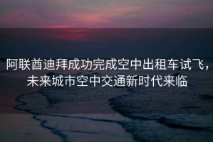 阿聯(lián)酋迪拜成功完成空中出租車試飛，未來城市空中交通新時代來臨