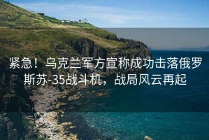 緊急！烏克蘭軍方宣稱成功擊落俄羅斯蘇-35戰(zhàn)斗機，戰(zhàn)局風云再起